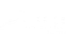 AVPrideLogoWithYearWHITE